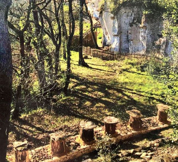 Bees and the Tradition of Tree Hives.