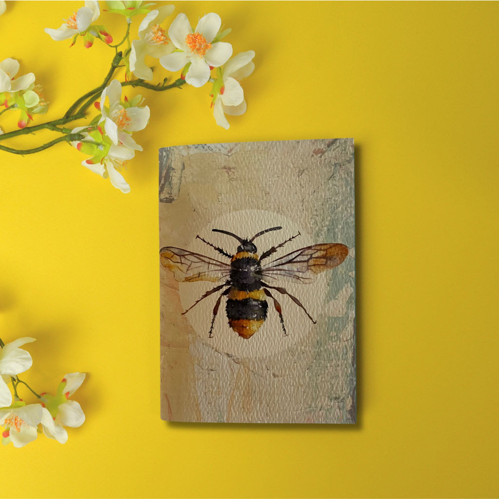Corinne Lapierre Notebooks