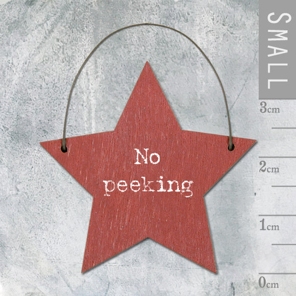 East of India Little Star Designs. Gift tags. No peeking motif. Image of 2 red stars hung on wire.