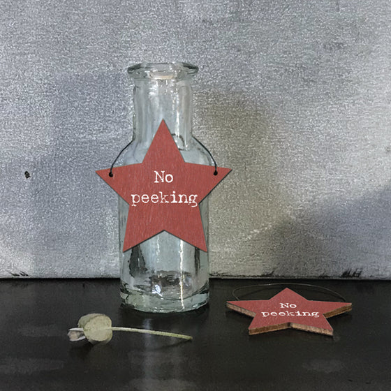 East of India Little Star Designs. Gift tags. No peeking motif. Image of 2 red stars hung on wire.