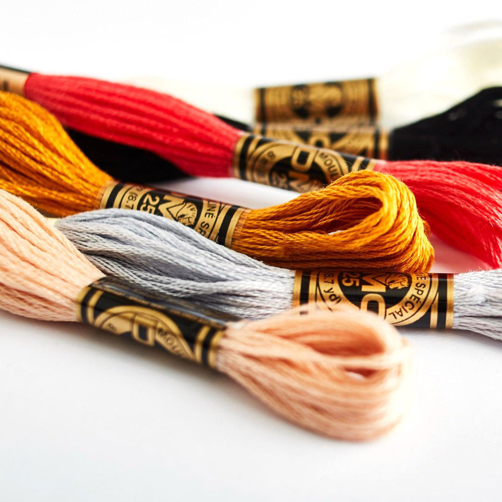 Corinne Lapierre DMC Stranded Cotton