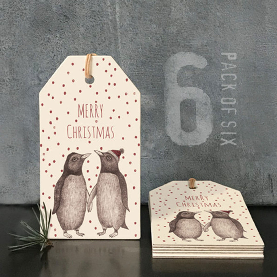 Gift Tags- Pack of Six